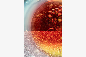 Macro World