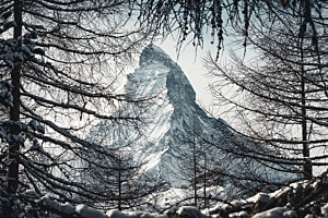 Typisch Schweiz 