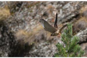 Abflug Abflug