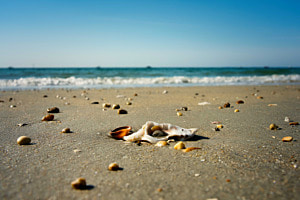 Strand, Muscheln und Meer
