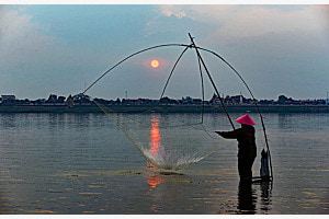 Mekongfischer Mekongfischer