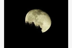 Moonlight Moonlight