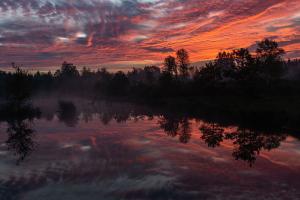 Sonnenaufgang im Moor Sonnenaufgang im Moor