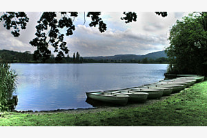 Moossee