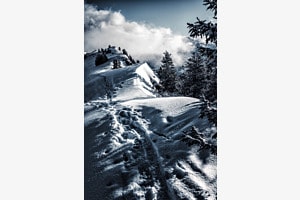 Winter Winter
