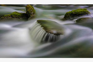 Wasser