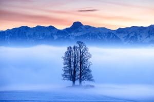 Sonnenuntergang über dem Nebel Sonnenuntergang über dem Nebel