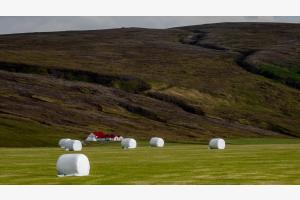 Neuland-Landwirtschaft in Island, Herbst 2022 Neuland-Landwirtschaft in Island, Herbst 2022