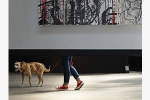 Besuch der Graffiti-Ausstellung