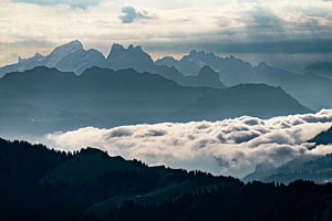 morgens auf dem Niederhorn