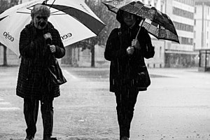 Novemberregen