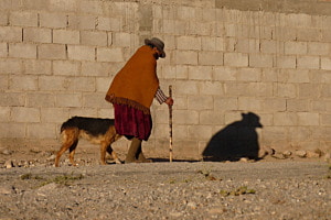 Hund Gassi führen