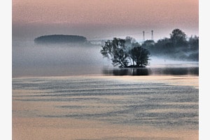 Nebel