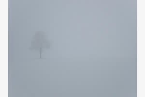 Winterlandschaft Winterlandschaft