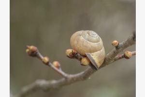 Frühling