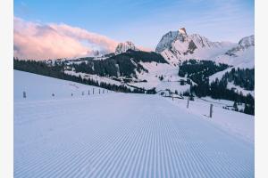 Winterwonderland