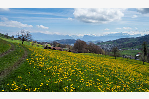 Sonnenberg