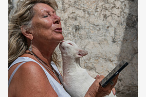 Freundschaft Katze Mensch