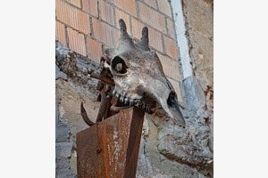 Kunst Kultur Burgdorf