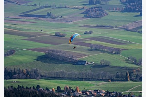 Vogelsicht