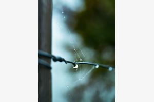 Water drop Water drop