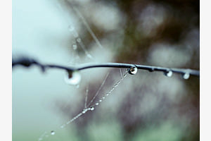 Water droplets