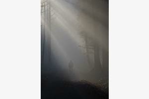 Streifflicht