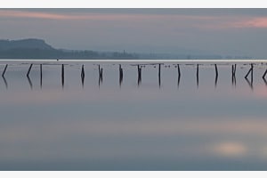 Stilles Wasser