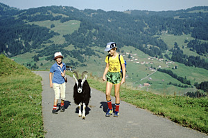 Freundschaftliches Treffen beim Wandern