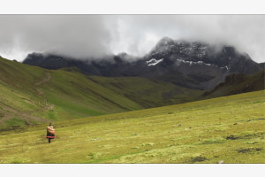 Pachamama und ihre Kinder Pachamama und ihre Kinder