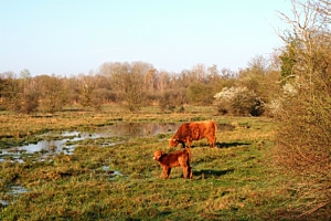 Gross und Klein