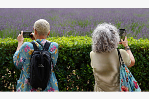 Interessen-Freundschaft