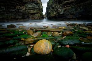 Puffin Cove, Schottland Puffin Cove, Schottland