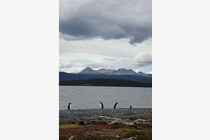 Social distancing