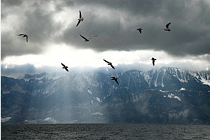 Regentag am Genfersee