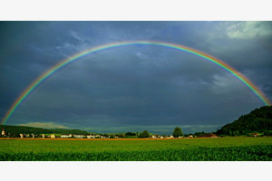 Regenbogen über Ettiswil