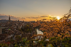 Frühnligsstimmung im Rosengarten Bern