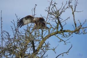 Abflug Abflug