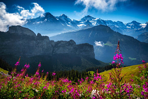 JUNGFRAU REGION