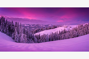 EMMENTAL