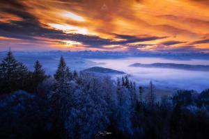 FROZEN SUNRISE