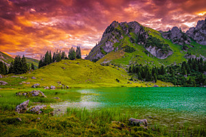 ALPINE DREAM