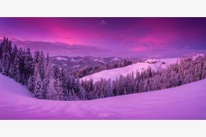 WINTER WONDERLAND