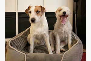 Best friends!