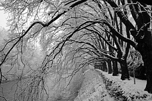 Winterallee Winterallee