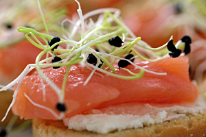 Canapé au saumon