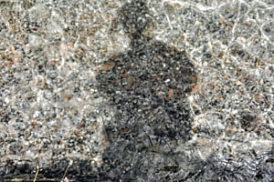 Schatten-Selfie im See