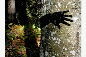 Schattenhand