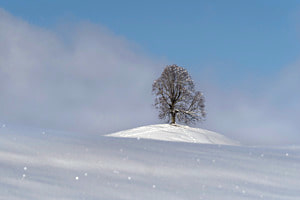 Winterwunderland Winterwunderland