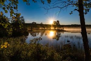Herbstmorgen Herbstmorgen
